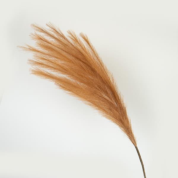 ΚΛΑΔΙ ΠΑΜΠΑΣ ΑΝΟΙΧΤΟ ΚΑΦΕ 112cm (Συσκευασία 4 τεμαχίων)