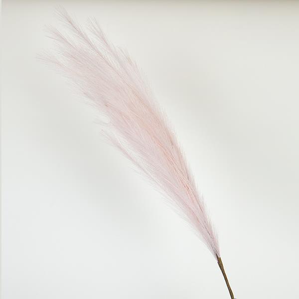 ΚΛΑΔΙ ΠΑΜΠΑΣ ΡOZ 112cm (Συσκευασία 4 τεμαχίων)