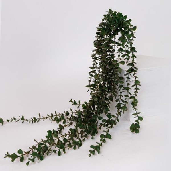 ΛΟΥΛΟΥΔΙ/ΚΛΑΔΙ ΚΡΕΜΑΣΤΟΣ ΕΥΚΑΛΥΠΤΟΣ ΠΡΑΣΙΝΟ 100cm (Συσκευασία 4 τεμαχίων)