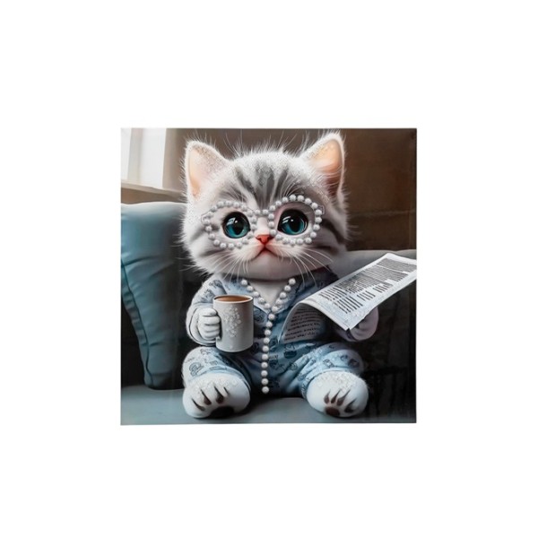 ΠΙΝΑΚΑΣ ΕΚΤΥΠΩΣΗ ΓΑΤΑ ΜΕ ΠΕΡΛΕΣ 60Χ60Χ3ΕΚ