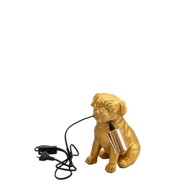 ΠΟΛΥΕΣΤΕΡΙΚΗ ΧΡΥΣΗ ΛΑΜΠΑ  ΣΚΥΛΟΣ  13Χ19,5Χ22,5ΕΚ