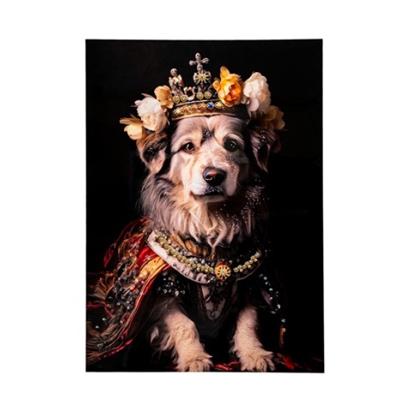 ΠΙΝΑΚΑΣ ΣΚΥΛΟΣ 50Χ70Χ4ΕΚ