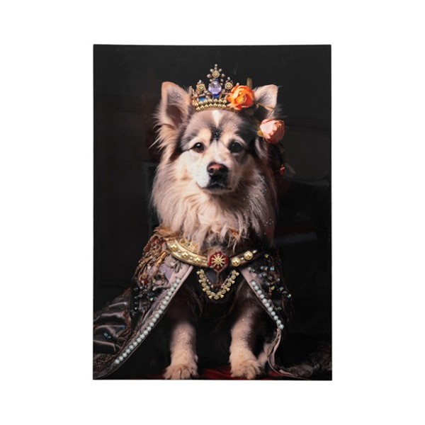 ΠΙΝΑΚΑΣ ΣΚΥΛΟΣ 50Χ70Χ4ΕΚ