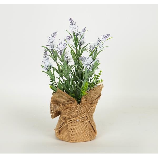 ΛΕΒΑΝΤΑ ΣΕ ΓΛΑΣΤΡΑΚΙ ΑΠΟ ΛΙΝΑΤΣΑ ΛΙΛΑ- ΦΥΣΙΚΟ 36cm (Συσκευασία 3 τεμαχίων)