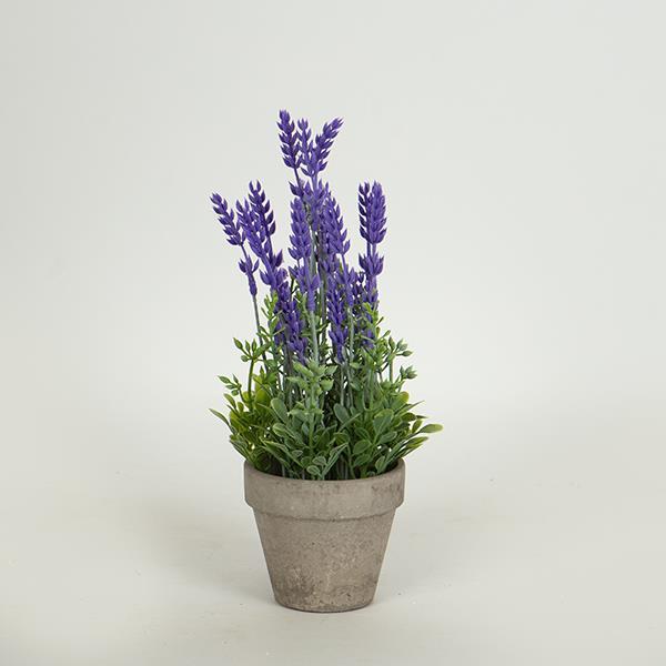 ΦΥΤΟ ΣΕ ΓΛΑΣΤΡΑΚΙ ΑΠΟ ΧΑΡΤΙΝΗ ΠΟΥΛΠΑ ΓΚΡΙ-ΜΩΒ 27cm (Συσκευασία 4 τεμαχίων)