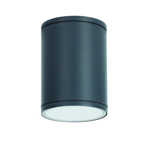^E27 PAR30  ROUND CEILING LUMINAIRE 230V AC DARK GREY IP65 MAX.35W