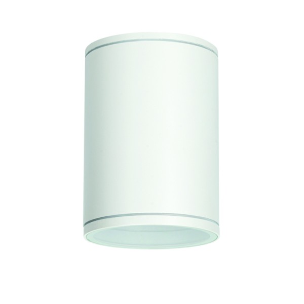 ^E27 PAR30  ROUND CEILING LUMINAIRE 230V AC MATT WHITE IP65 MAX.35W