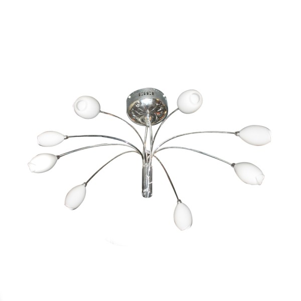 ΟΚΤΑΦΩΤΟ ΡΟΖΕΤΑ ΝΤΙΖΕΣ ΛΟΥΛΟΥΔΙ