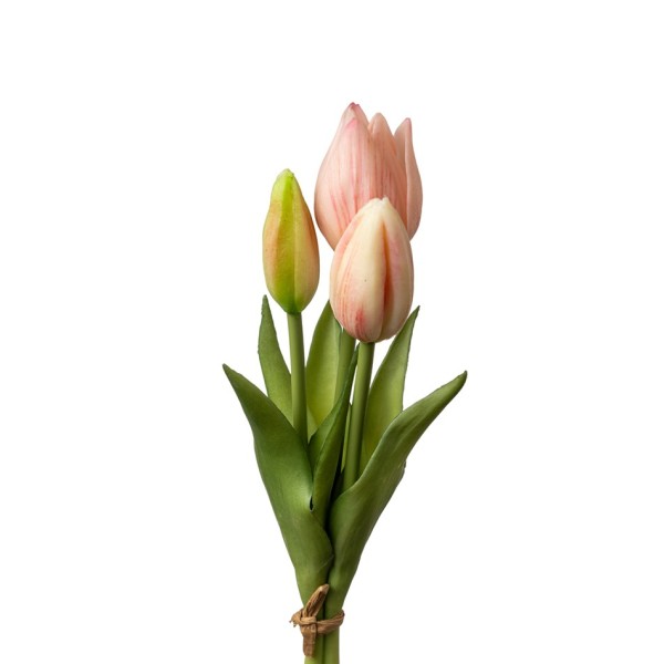 ΛΟΥΛΟΥΔΙ ΤΟΥΛΙΠΑ PVC ΡΟΖ ΜΠΟΥΚΕΤΟ  26ΕΚ