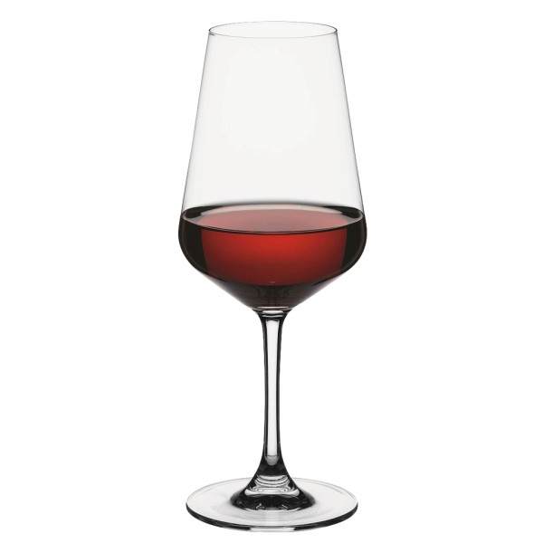 DIS. NUDE CUVEE RED WINE SET6 475CC H: 22.6CM P/384 GB6.OB12.